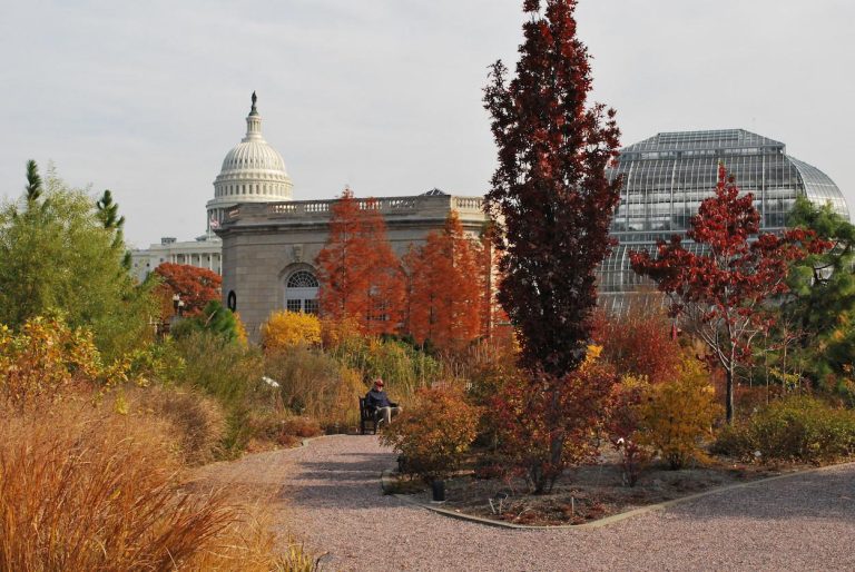 United States Botanic Garden 768x514