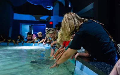 Virginia Aquarium & Marine Science Center
