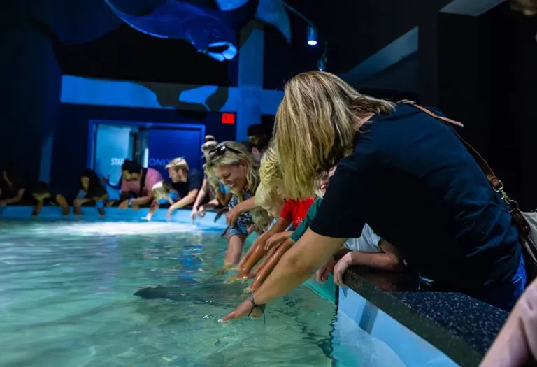 Virginia Aquarium Marine Science Center 768x525