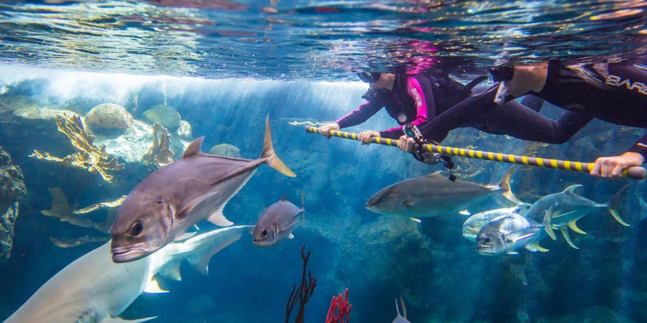 Visit-Tampa-Bay-Florida-Tourism-1280x640