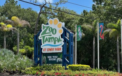 ZooTampa