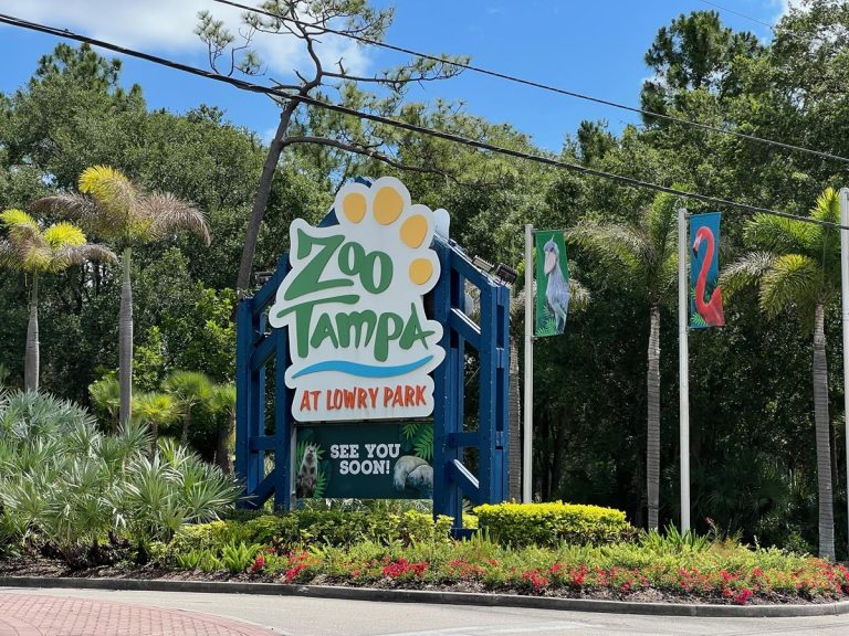 ZooTampa main enterance. Photo credit Daveynin via Flickr 768x576