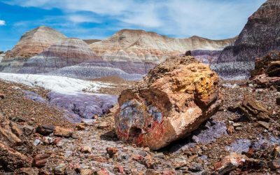 Otherworldly National Parks in the United States for Students