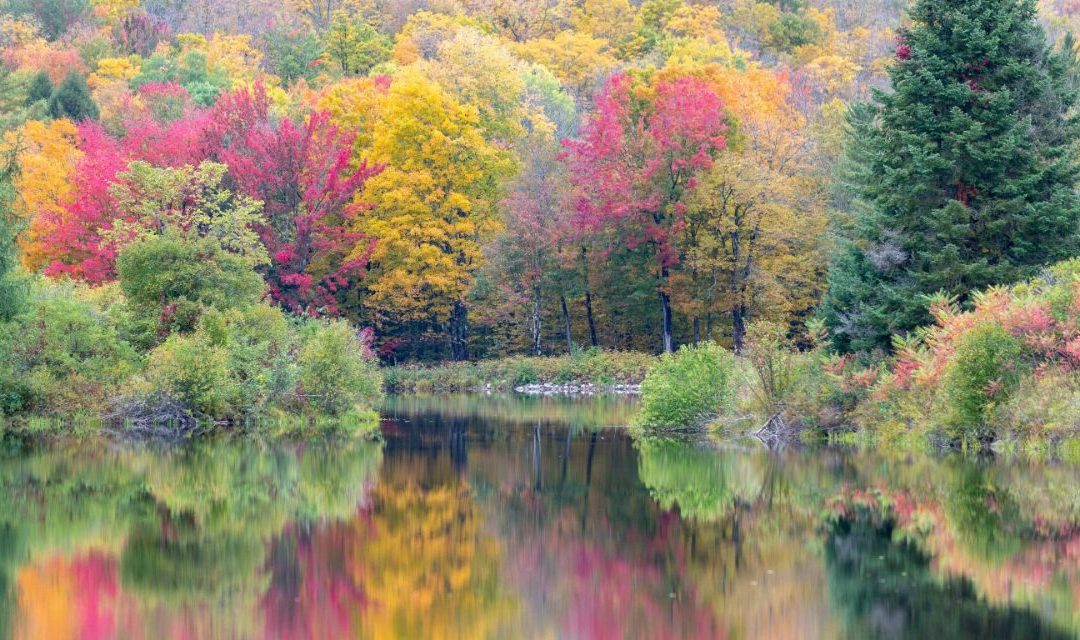 New Hampshire Field Trip Guide