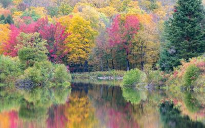 New Hampshire Field Trip Guide