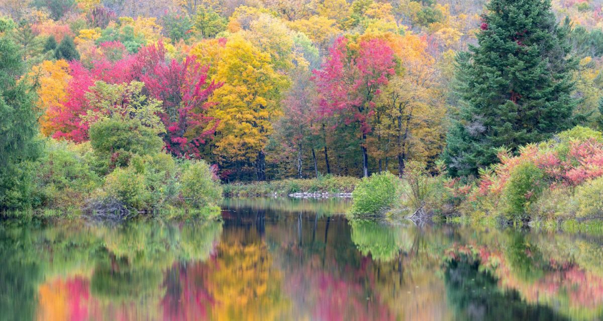 new hampsire field trip guide