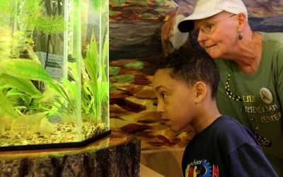 Ann Arbor Hands-On Museum