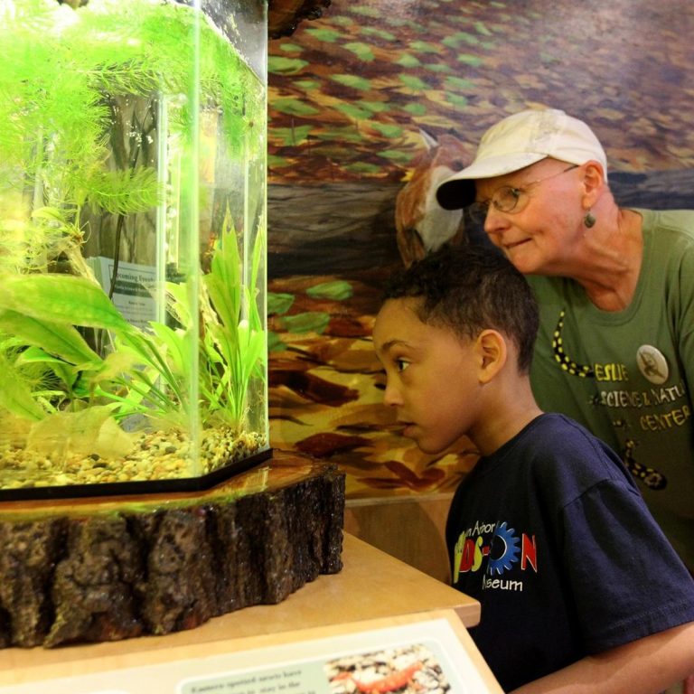 Ann Arbor Hands On Museum aquatic exhibit. Photo credit Ann Arbor Hands On Museum Facebook 768x768