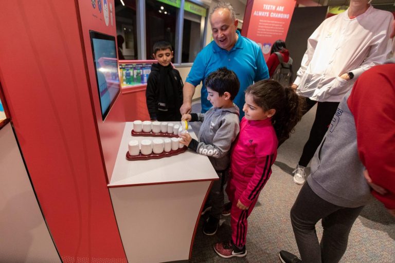 Ann Arbor Hands On Museum tooth exhibit. Photo credit Ann Arbor Hands On Museum Facebook 1 768x512