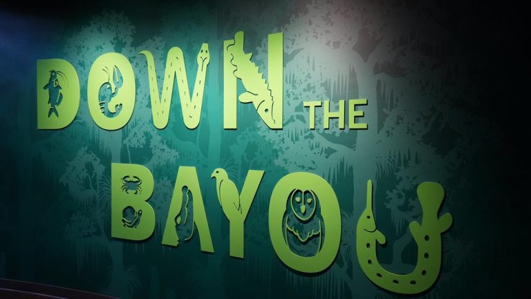 Audubon Aquarium Insectarium Down The Bayou exhibit. Photo credit Miguel Discart Kiri Karma via Flickr 768x433