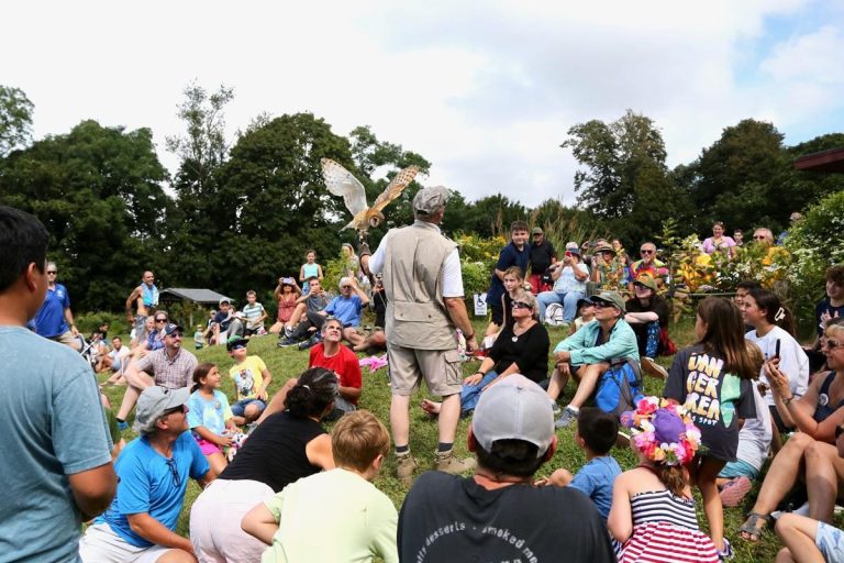 Audubon Society of Rhode Island owl demonstration. Photo credit Audubon Society of Rhode Island Facebook 768x512