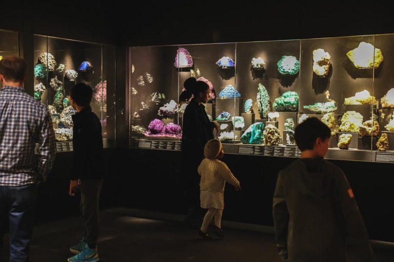 Bruce Museum exhibit 2. Photo credit Bruce Museum Facebook 768x512