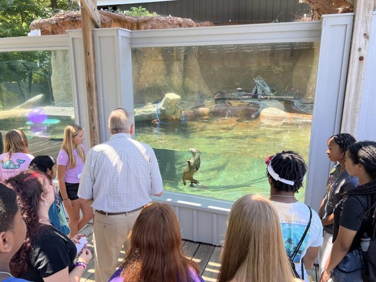 Calvert Marine Museum live animal exhibits. Photo credit Calvert Marine Museum Facebook 768x576