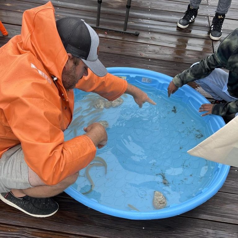 Calvert Marine Museum outdoor learning. Photo credt Calvert Marine Museum Facebook 768x768