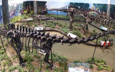 Carnegie Museum of Natural History