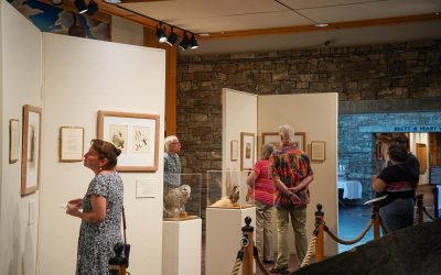 Columbia Gorge Discovery Center & Museum