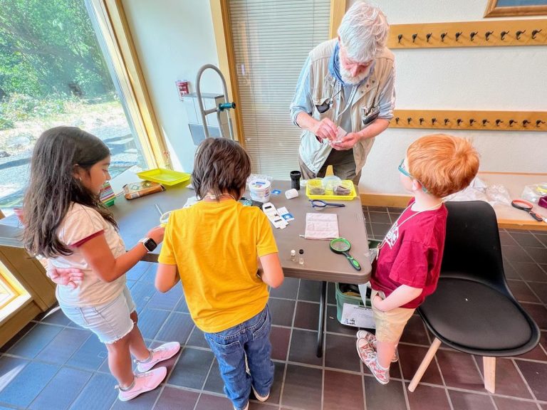 Columbia Gorge Discovery Center Museum engaging kids activity. Photo credit Columbia Gorge Discovery Center Museum Facebook 768x576