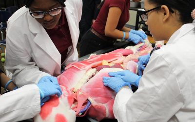 Da Vinci Science Center