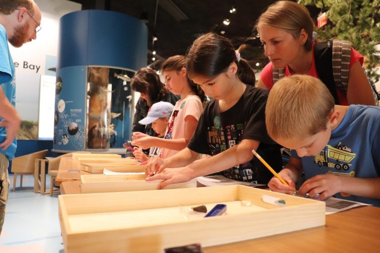 Delaware Museum of Nature Science hands on learning. Photo credit Facebook 768x512