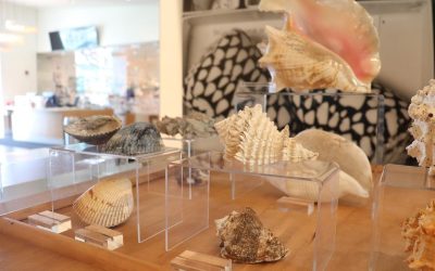 Delaware Museum of Nature & Science