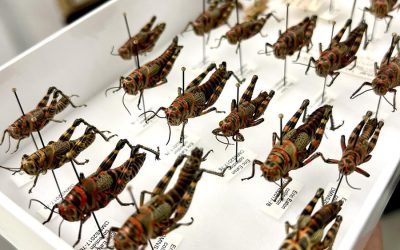 Denver Museum of Nature & Science