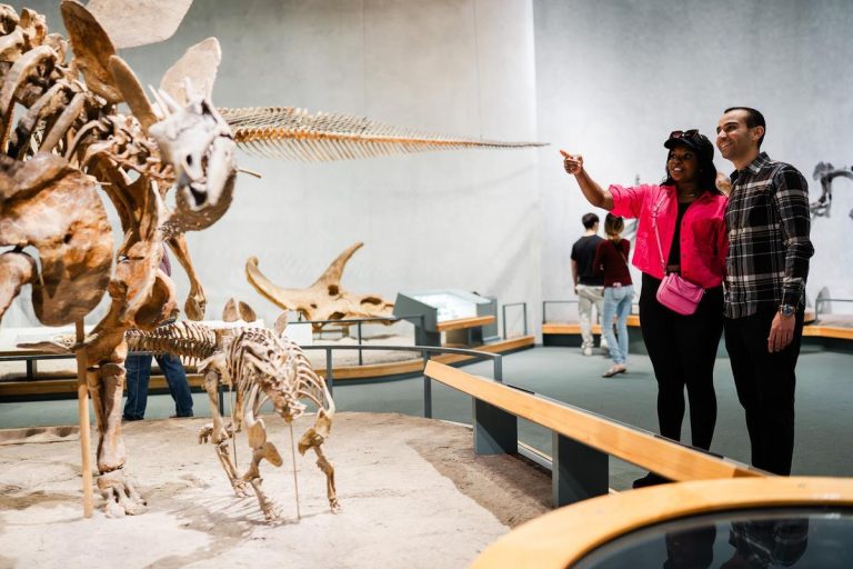 Denver Museum of Nature Science fossils. Photo credit Denver Museum of Nature Science Facebook 768x512