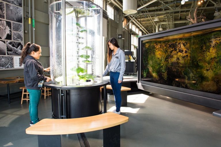 Exploratorium plant exhibit. Photo credit Facebook 768x511