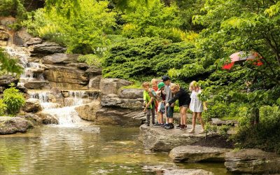 Frederik Meijer Gardens & Sculpture Park
