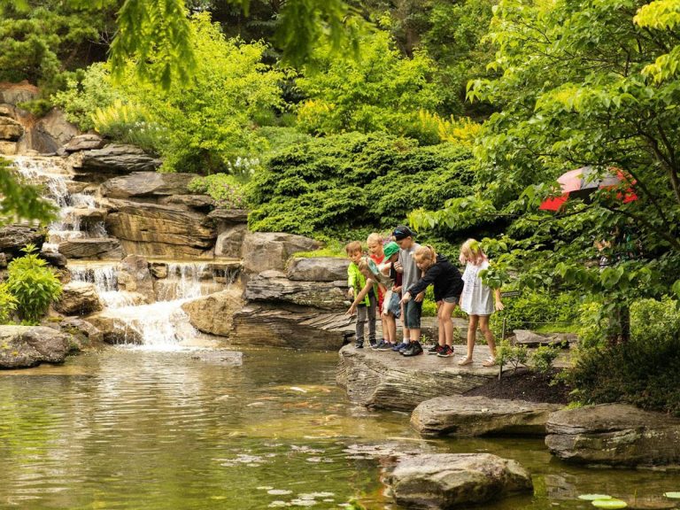 Freederik Meijer Gardens Photo courtesy of Frederik Meijer Gardens Sculpture Park 1 768x576