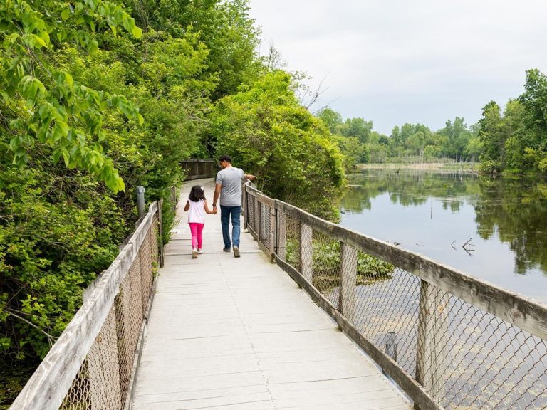 Freederik Meijer Gardens Photo courtesy of Frederik Meijer Gardens Sculpture Park 3 768x576