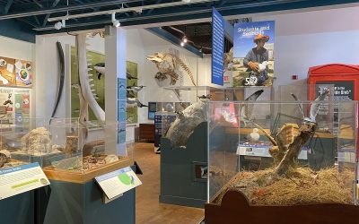 George B. Dorr Museum of Natural History