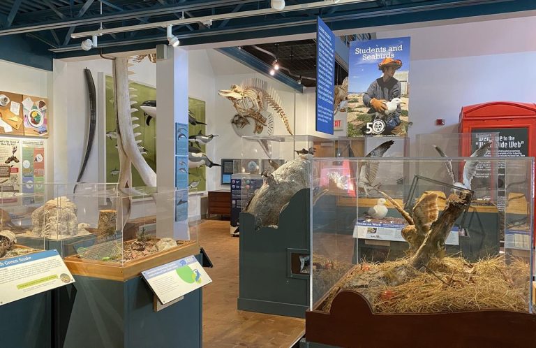 George B. Dorr Museum of Natural History exhibit 2. Photo credit Facebook 768x498