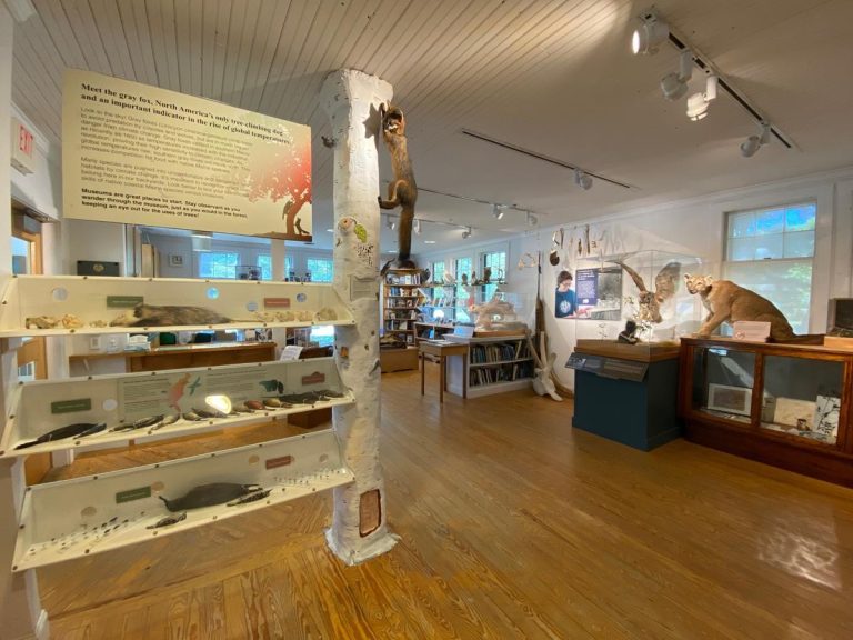 George B. Dorr Museum of Natural History exhibit 3. Photo credit Facebok 768x576