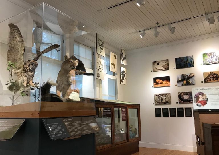 George B. Dorr Museum of Natural History exhibits. Photo credit Facebook 768x545