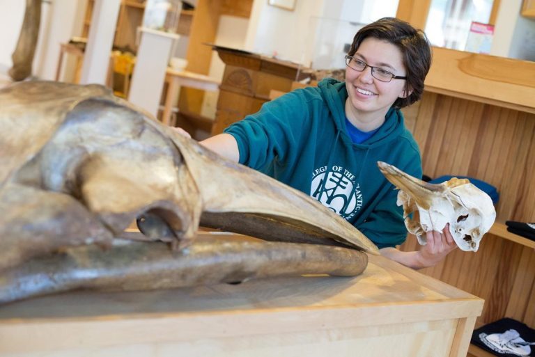 George B. Dorr Museum of Natural History fossils. Photo credit Facebook 768x513