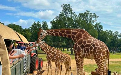 Global Wildlife Center