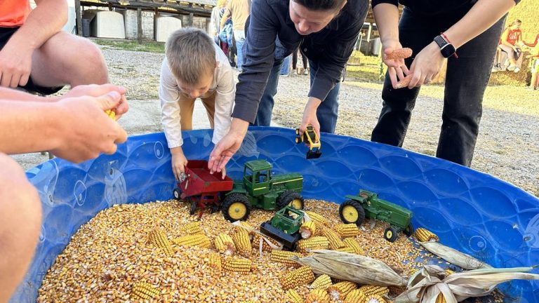 Hansens Farm Fresh Dairy playing with corn. Photo credit Facebook 768x432