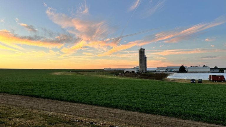 Hansens Farm Fresh Dairy sunset. Photo credit Facebook 768x432
