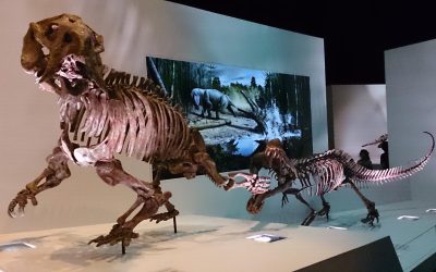 Houston Museum of Natural Science