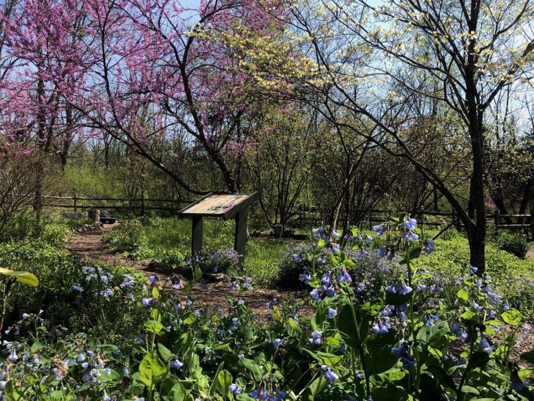 Jacobsburg Environmental Education Center outside. Photo credit Facebook 768x576