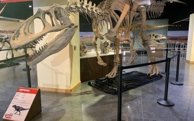 Lafayette Science Museum at the University of Louisiana