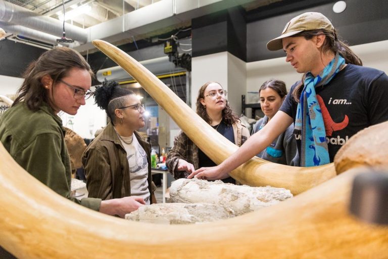 Lafayette Science Museum fossils. Photo credit UL Lafayette Science Museum Facebook 768x512