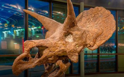 Louisiana Art & Science Museum