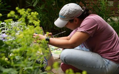 Maine Historical Society