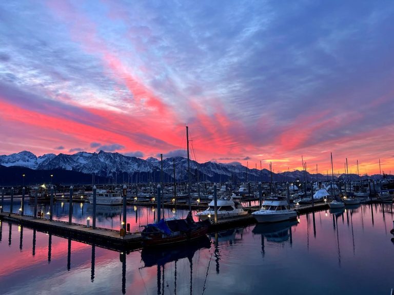Major Marine Tours marina. Photo credit Facebook 768x576