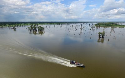 McGee’s Louisiana Swamp & Airboat Tours