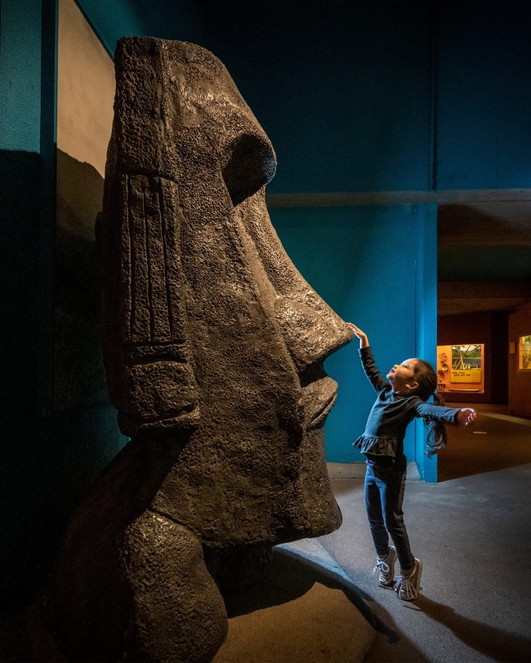 Milwaukee Public Museum face. Photo credit Facebook 768x960