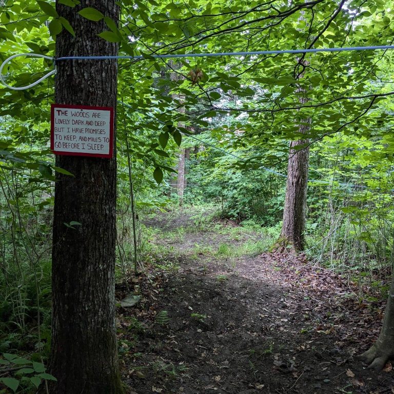 Morse Farm Maple Sugarworks tapping trees. Photo credit Facebook 768x768