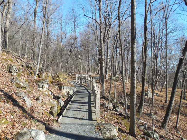 Mount Independence State State Historic Site walking trail. Photo credit Doug Kerr via Flickr 768x576