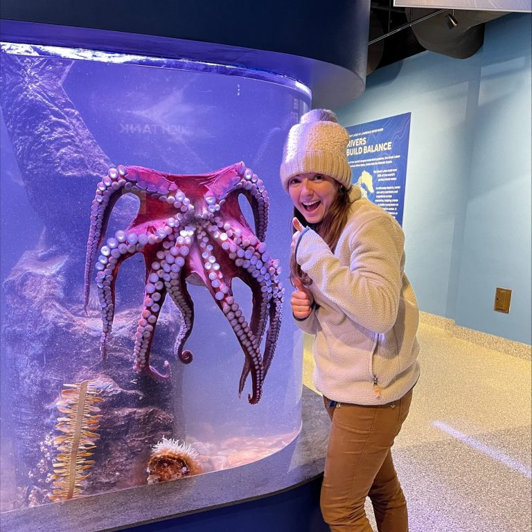 National Mississippi River Museum Aquarium octopus. Photo Credit Facebook 768x768